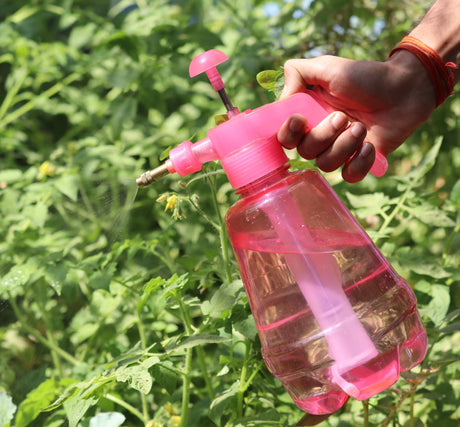 Safe way to spray - Green Harvest