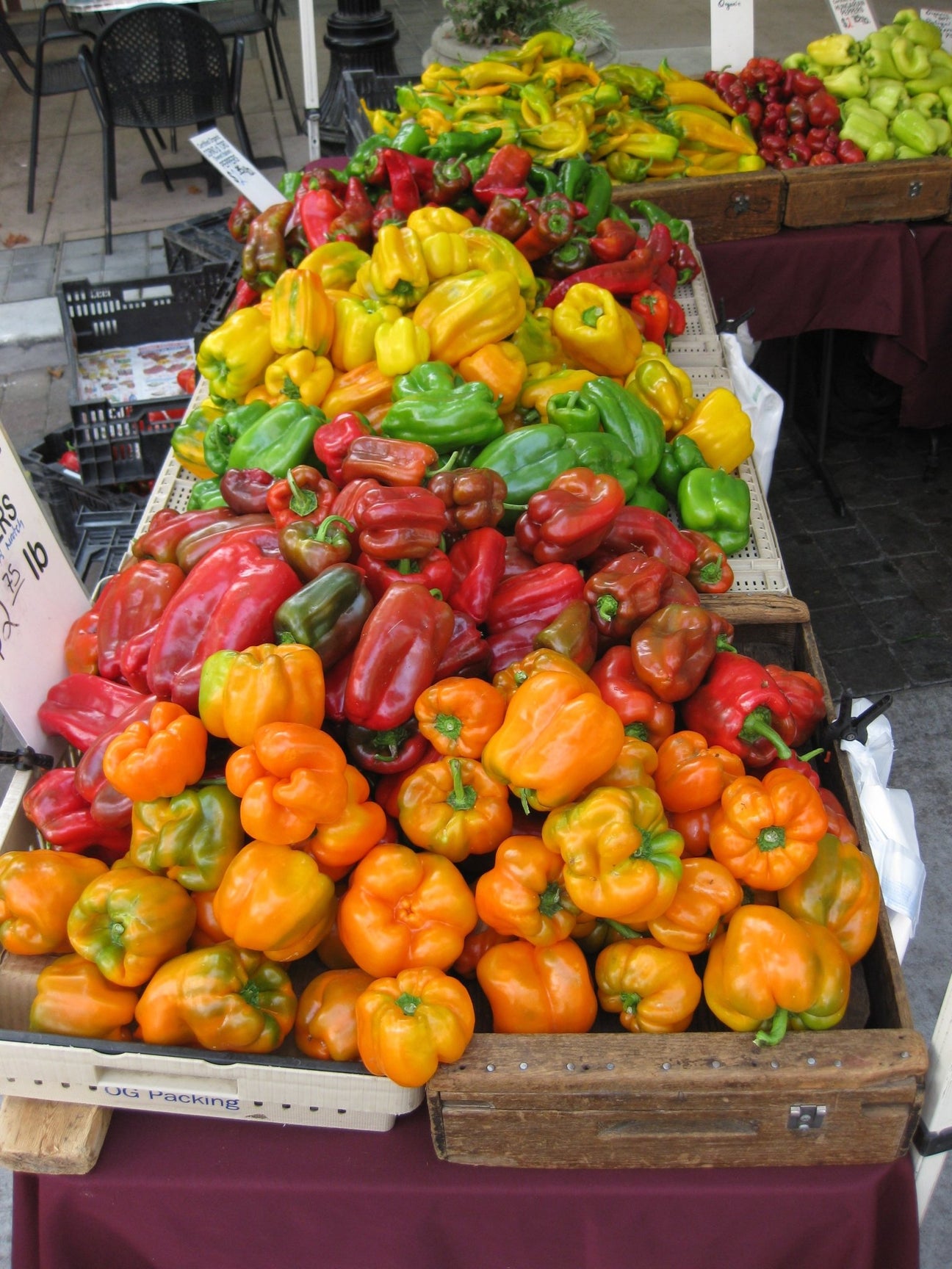 Capsicum - Green Harvest
