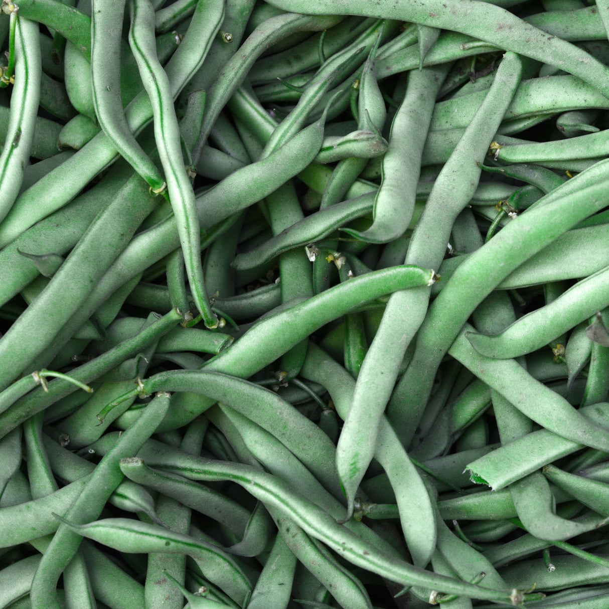 Bean Climbing 'Blue Lake'