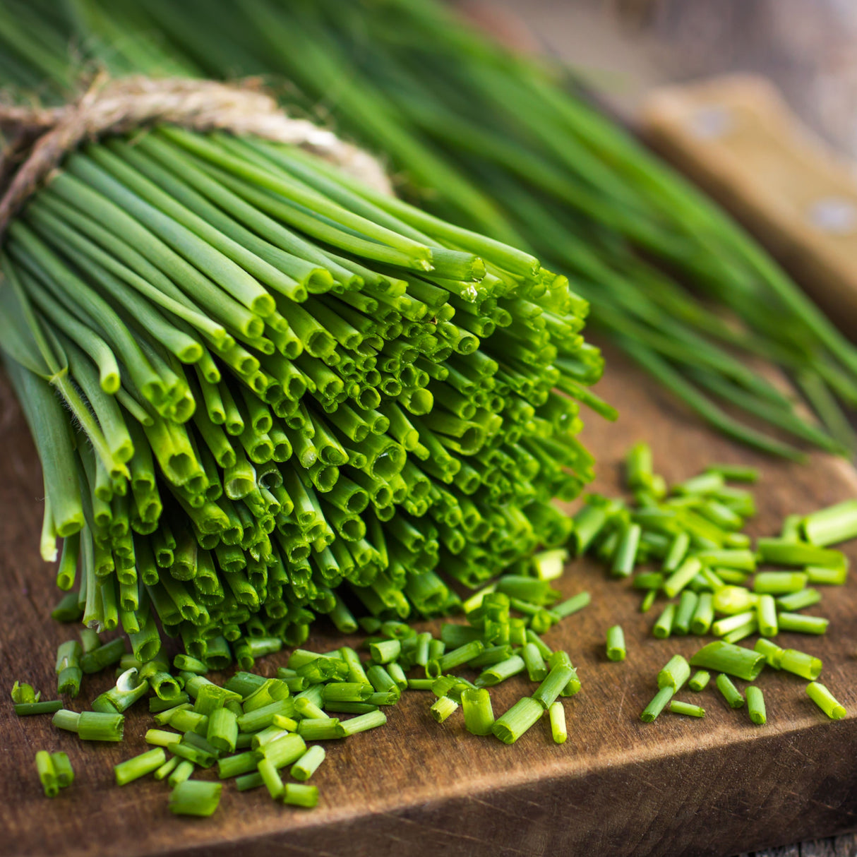 Chives 'Natsuyo'