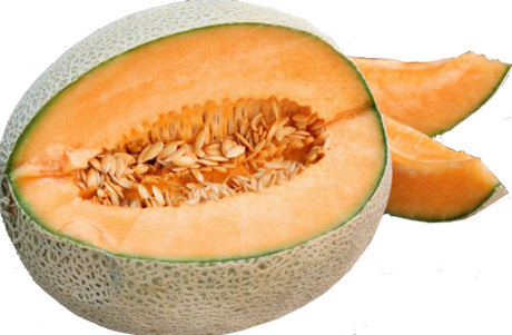 Melon 'Hale's Best'