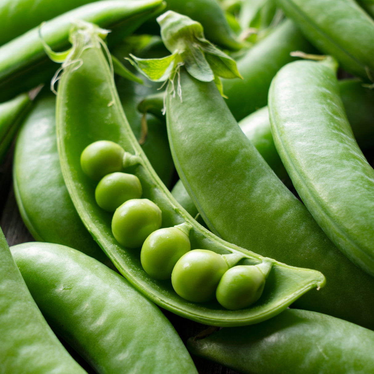 Pea Sugarsnap 'Cascadia'