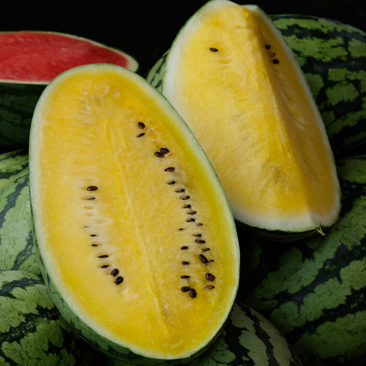Watermelon 'Mountain Sweet Yellow'