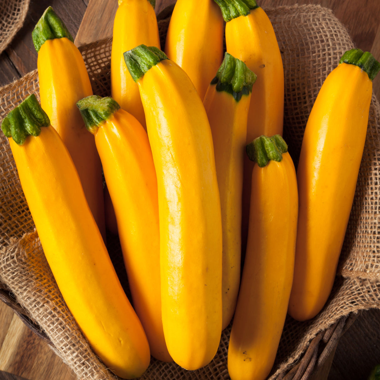 Zucchini 'Golden'