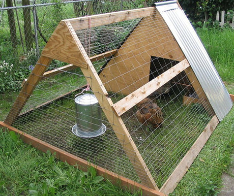 Chook Housing - Green Harvest