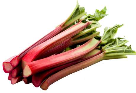 Rhubarb Growing Information - Green Harvest