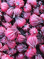 Rosella Jam and Cordial - Green Harvest