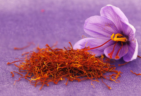 Saffron Crocus Growing Information - Green Harvest