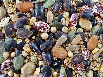 Seed Saving, Processing and Storage Practices - Green Harvest