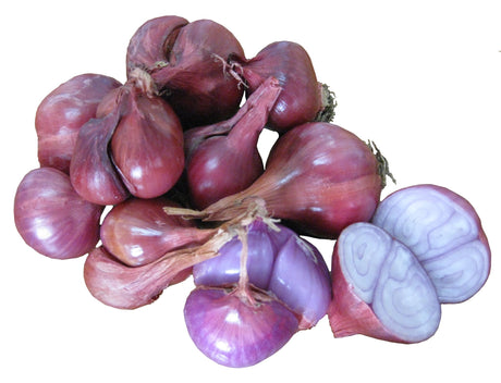 Shallots Growing Information - Green Harvest