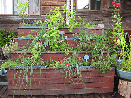 Small spaces – are never too small! - Green Harvest