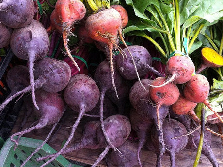 The Beet goes on - Green Harvest