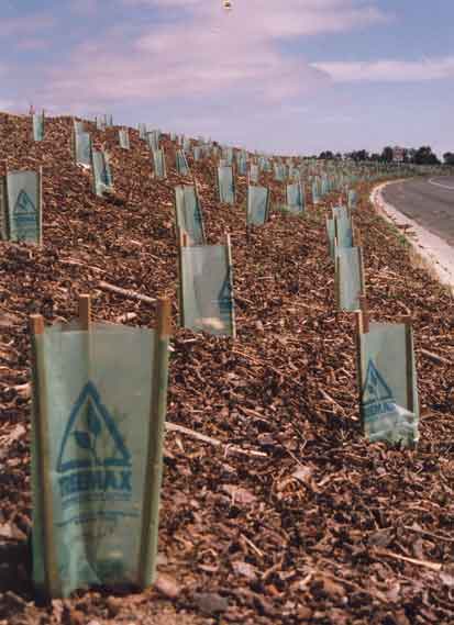 The Care and Protection of Young Trees - Green Harvest