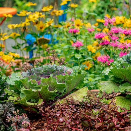 What Is Permaculture? - Green Harvest