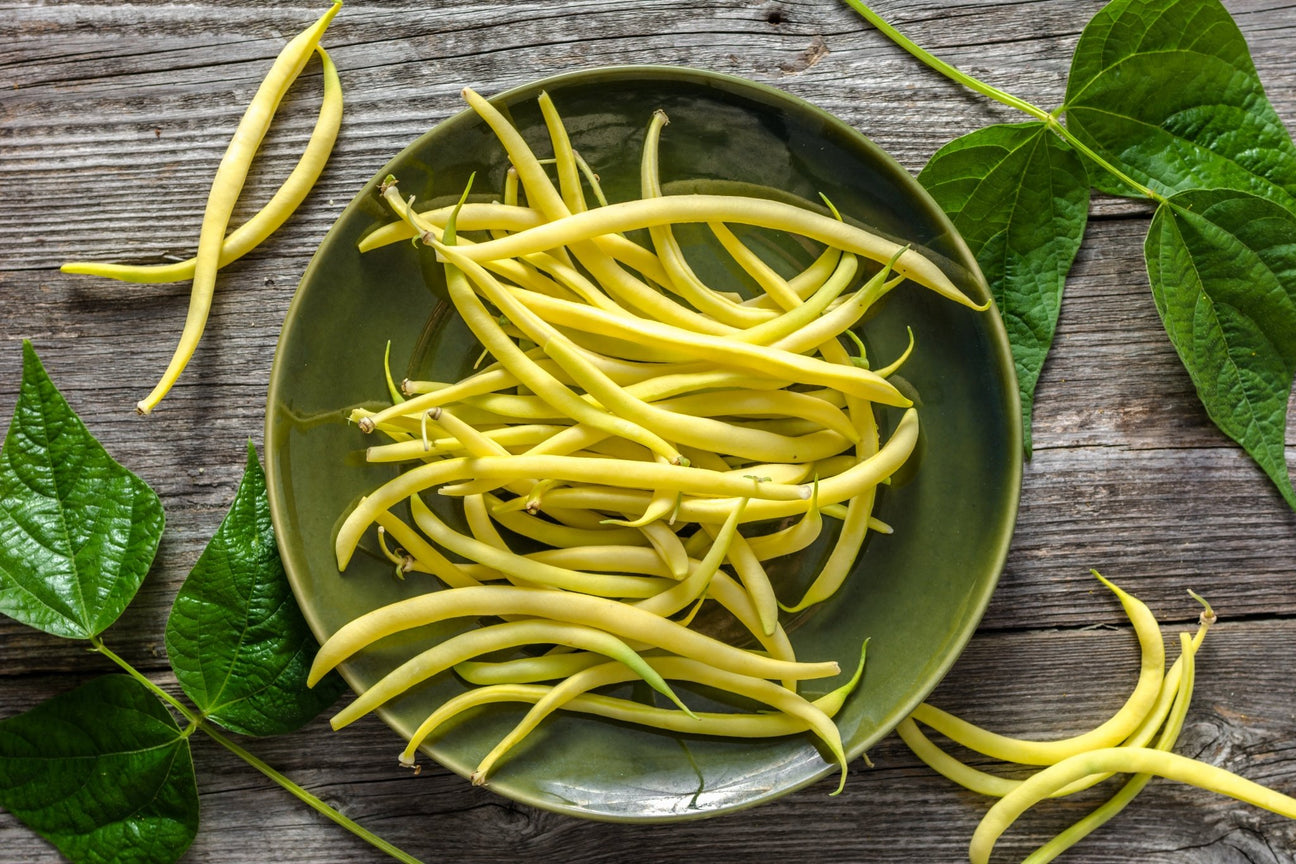 Beans - Green Harvest