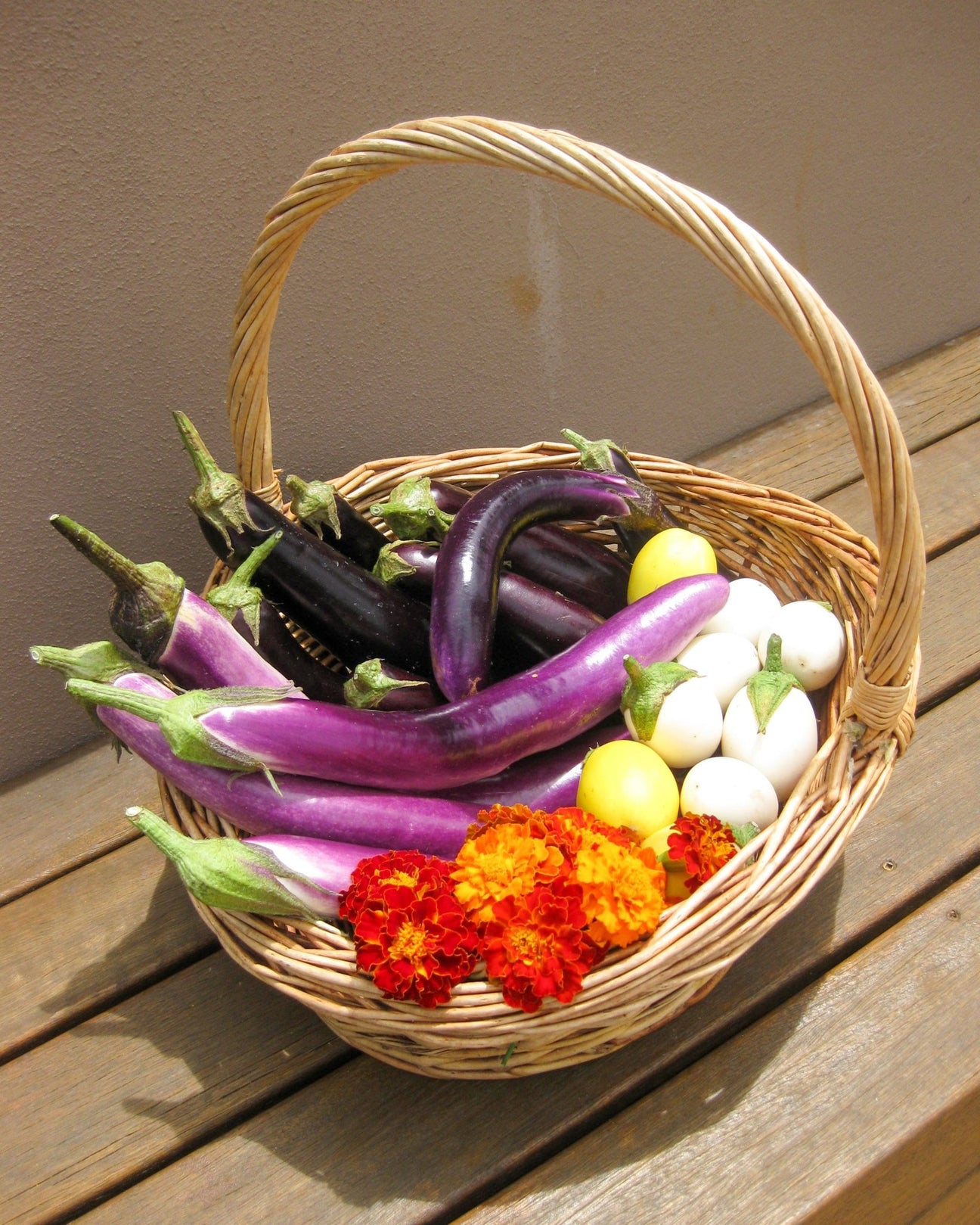 Eggplant - Green Harvest