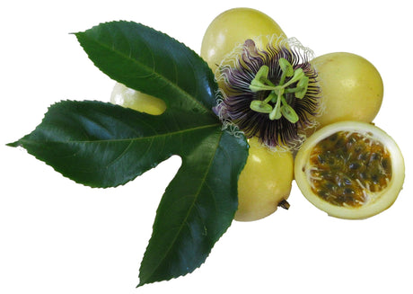 Passionfruit - Green Harvest