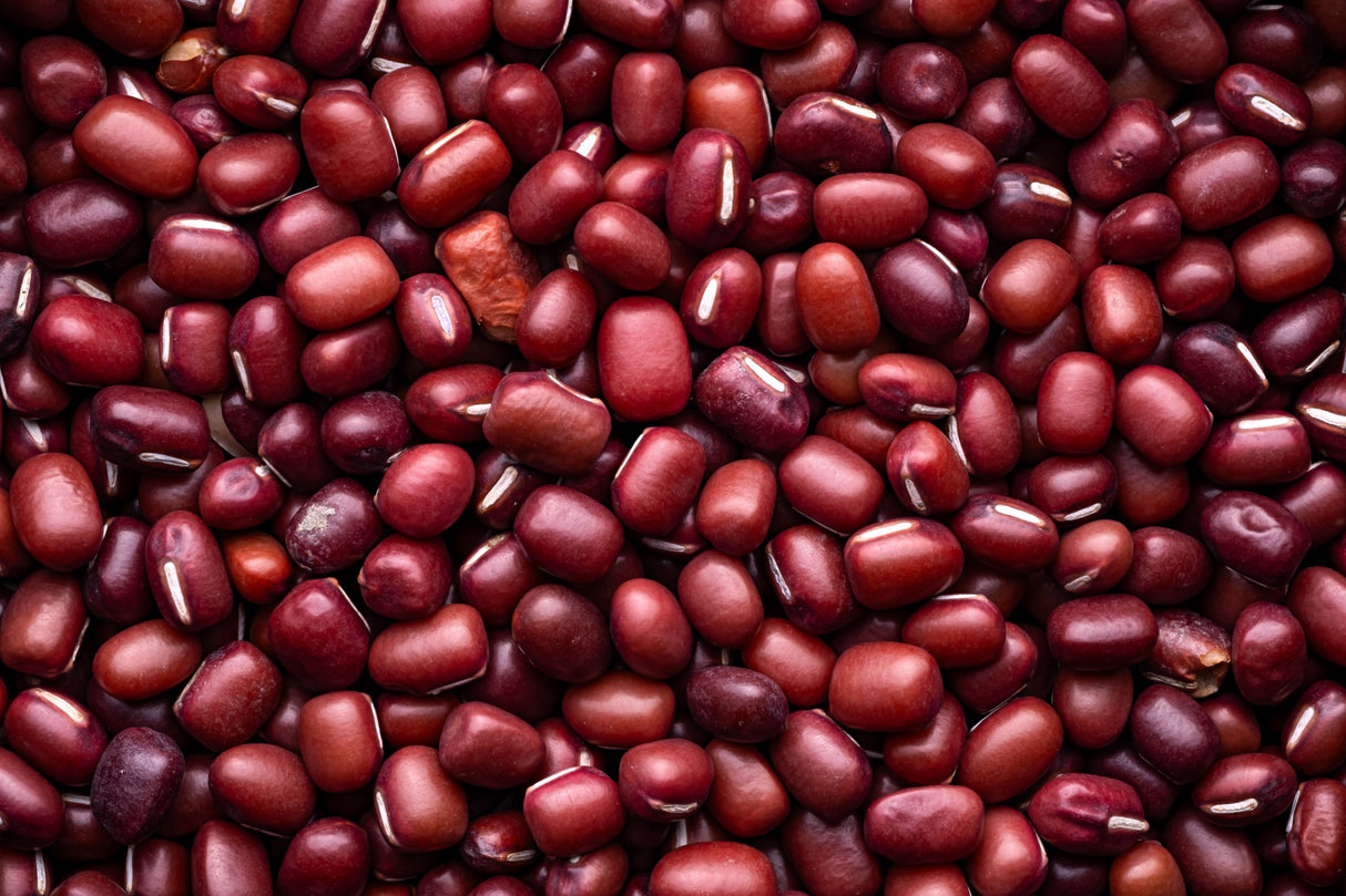 Adzuki Bean Sprouting