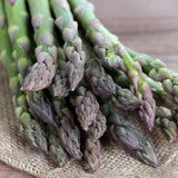 Asparagus 'Mary Washington'