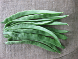 Bean Climbing 'Northeaster'