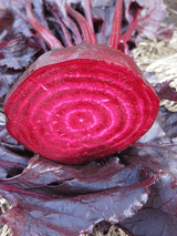 Beetroot 'Bull's Blood'