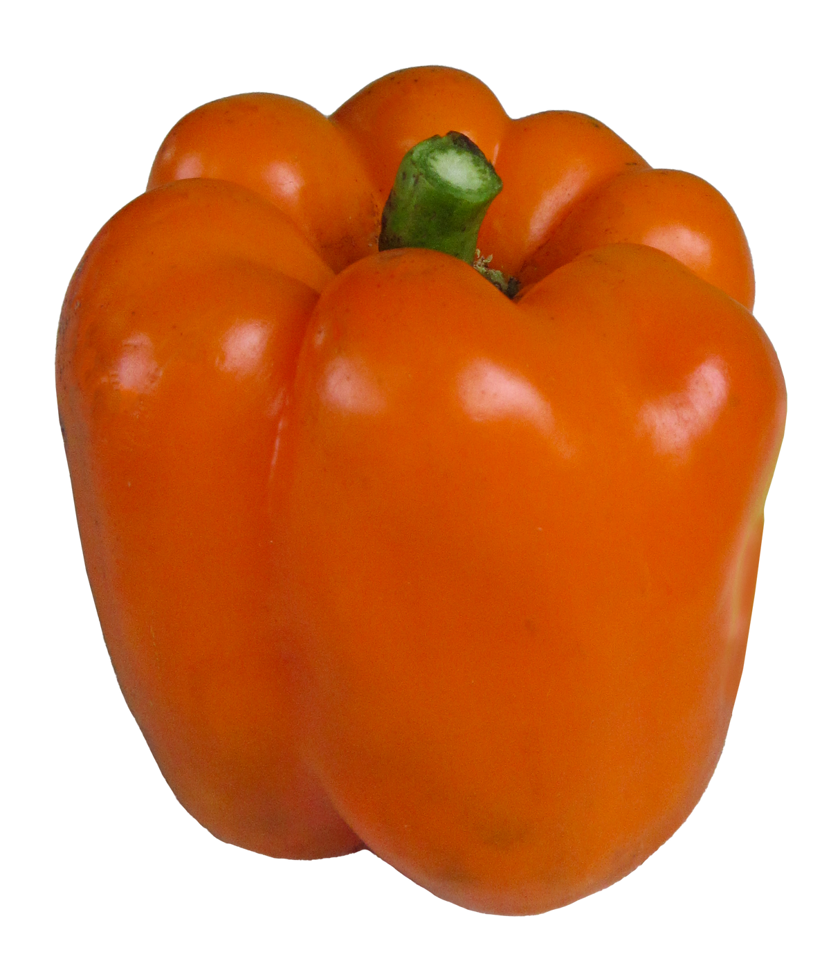 Capsicum 'Horizon'