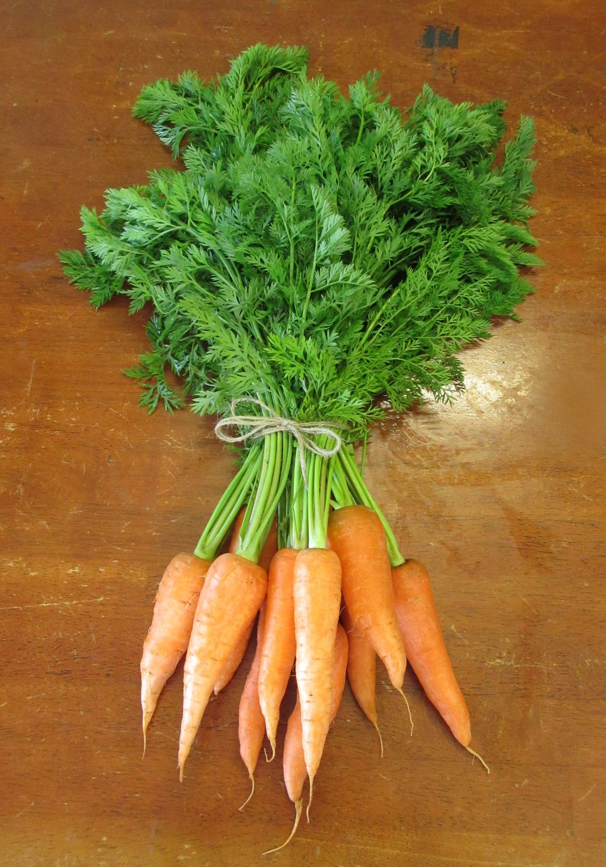 Carrot 'Red Kuroda'