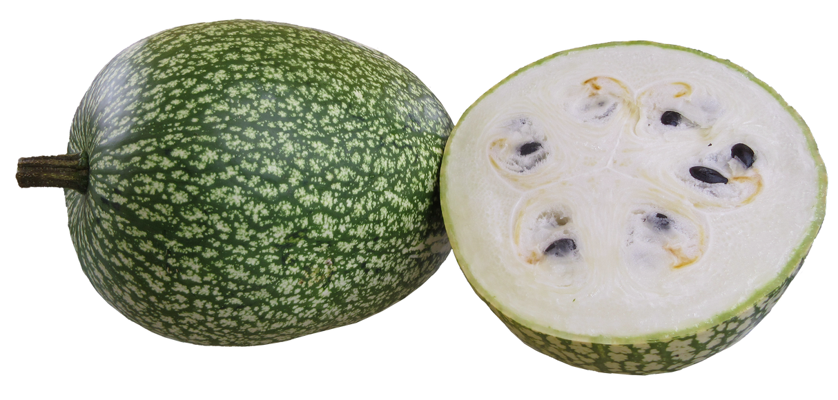 Chilacayote Squash