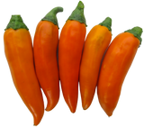 Chilli 'Bulgarian Carrot'