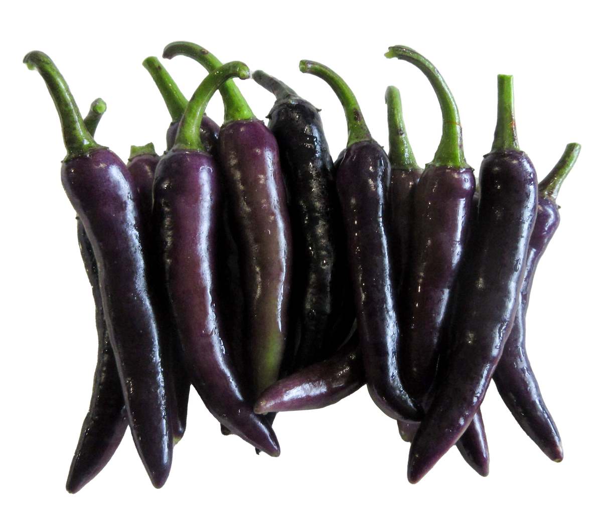 Chilli 'Cayenne Purple'