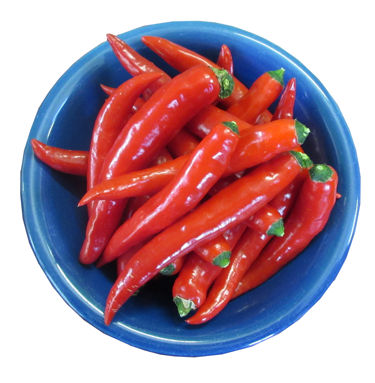 Chilli 'Cayenne Red Hot'