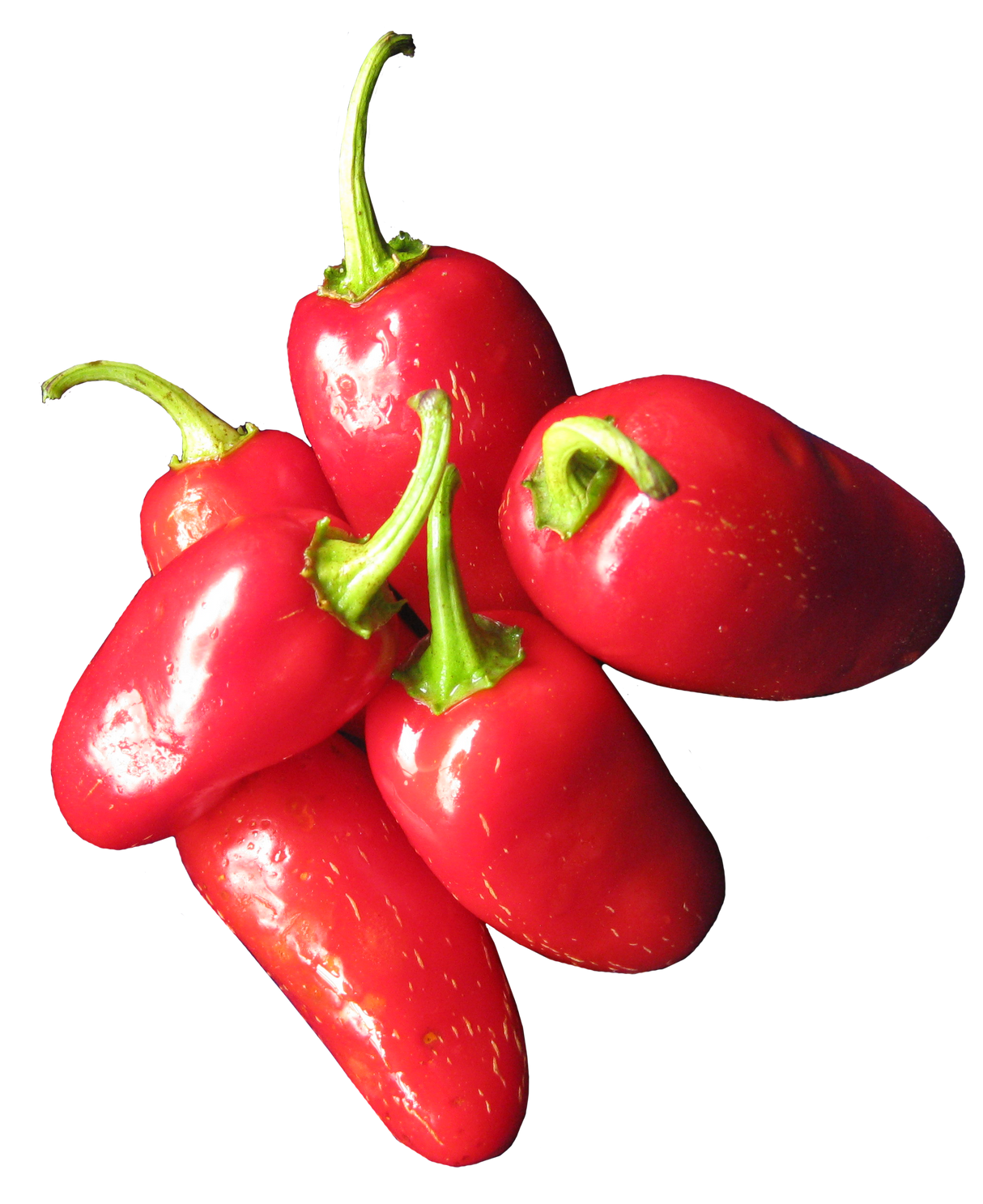 Chilli 'Jalapeno'