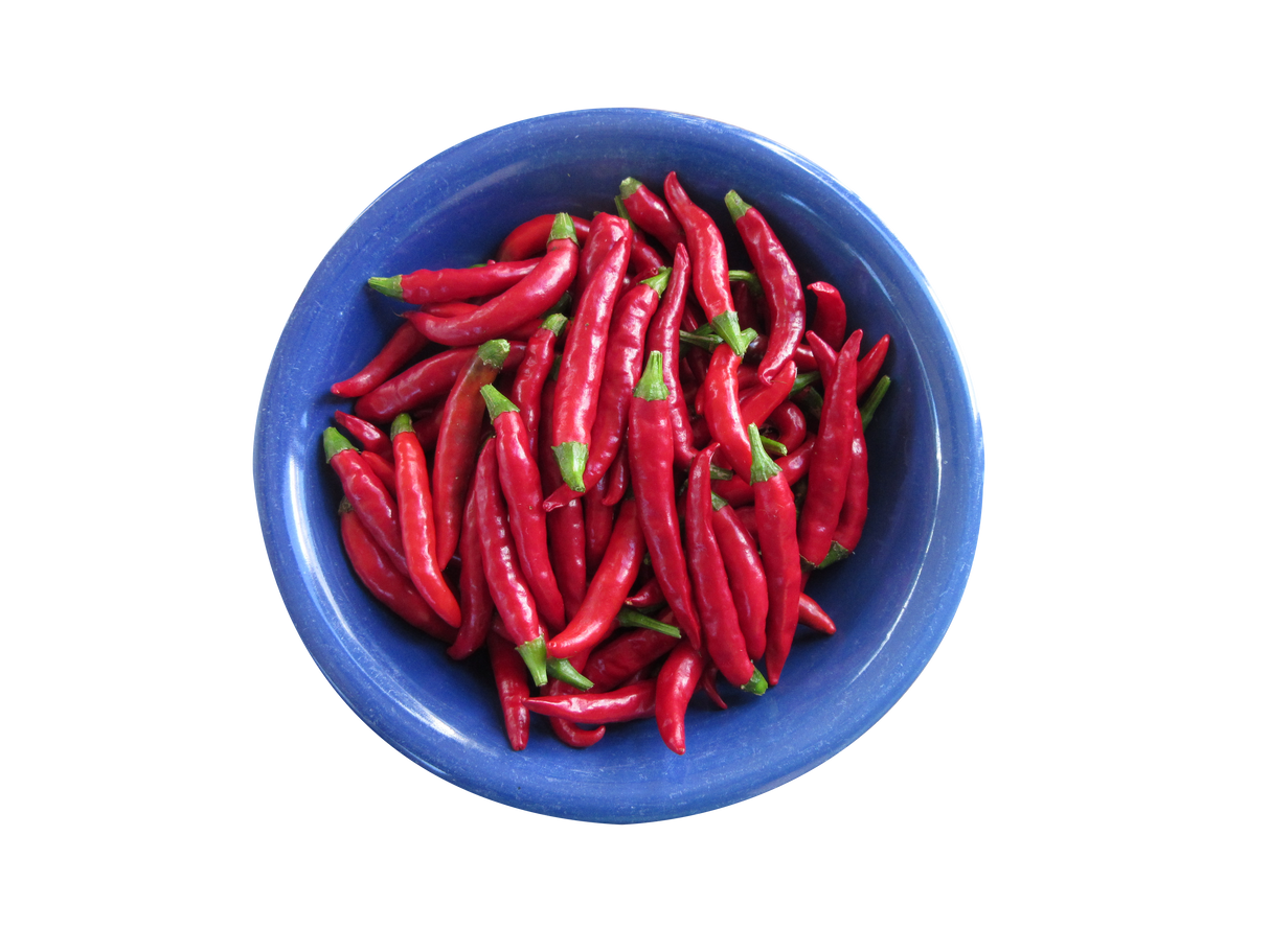 Chilli 'Paprika'