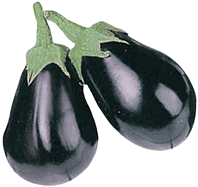 Eggplant 'Black Beauty'