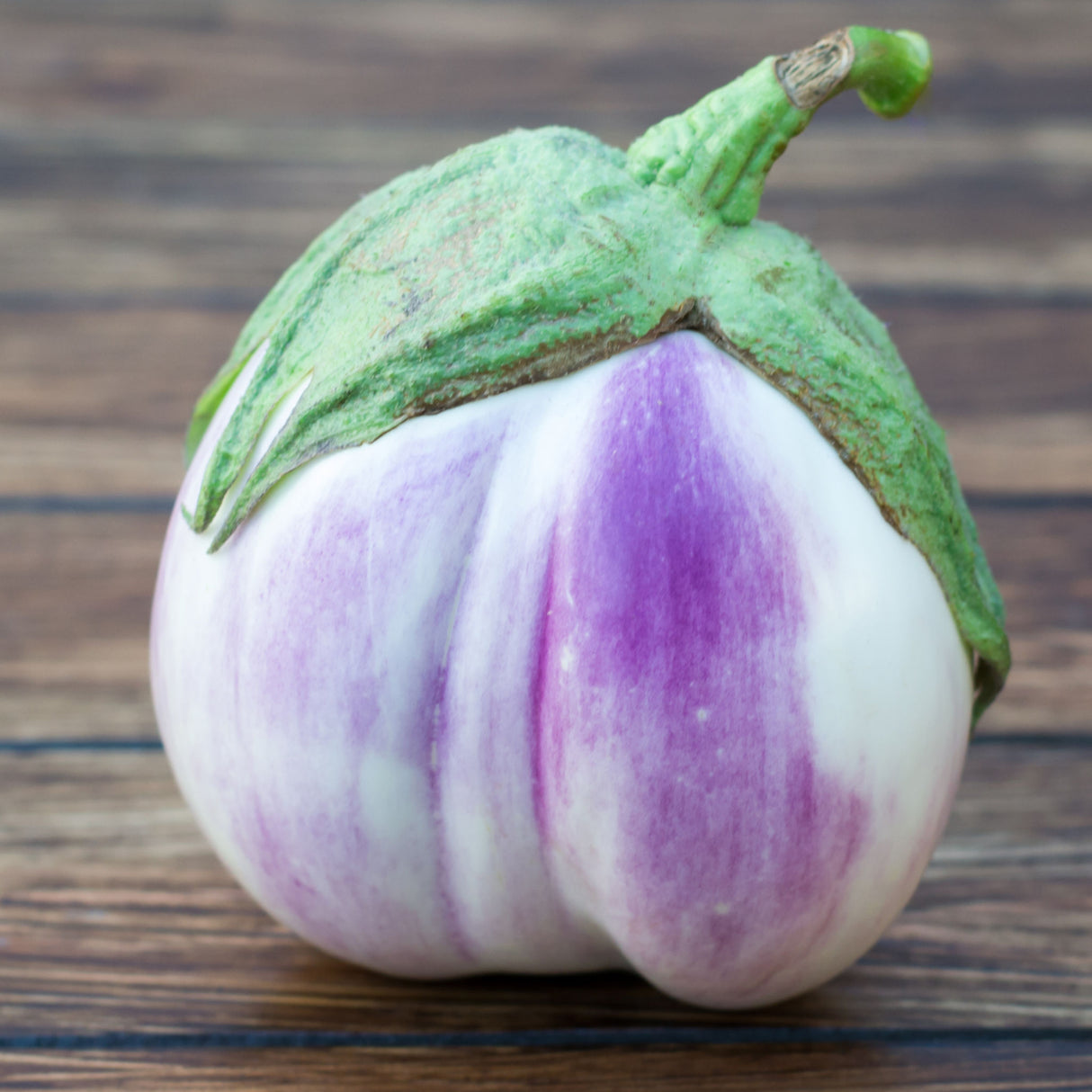 Eggplant 'Rosa Bianca'