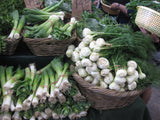 Florence Fennel 'Romanesco'