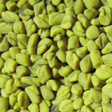 Fenugreek