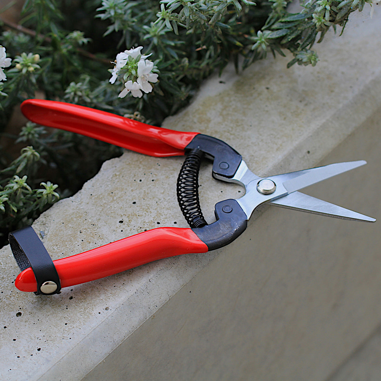 Picking Snips