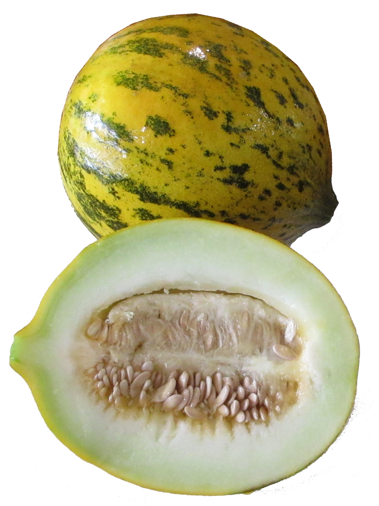 Melon 'Bateekh Samara'