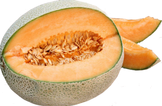 Melon 'Hale's Best'