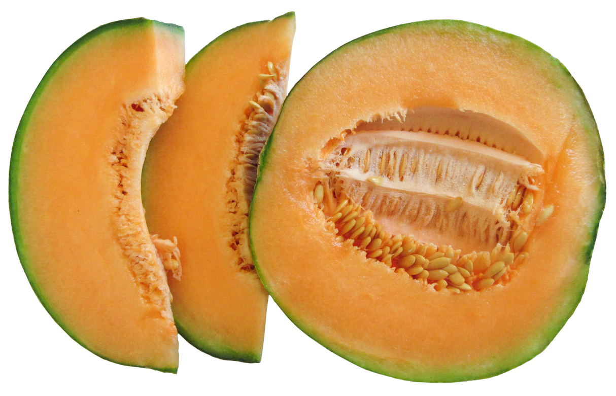 Melon 'Petit Gris De Rennes'