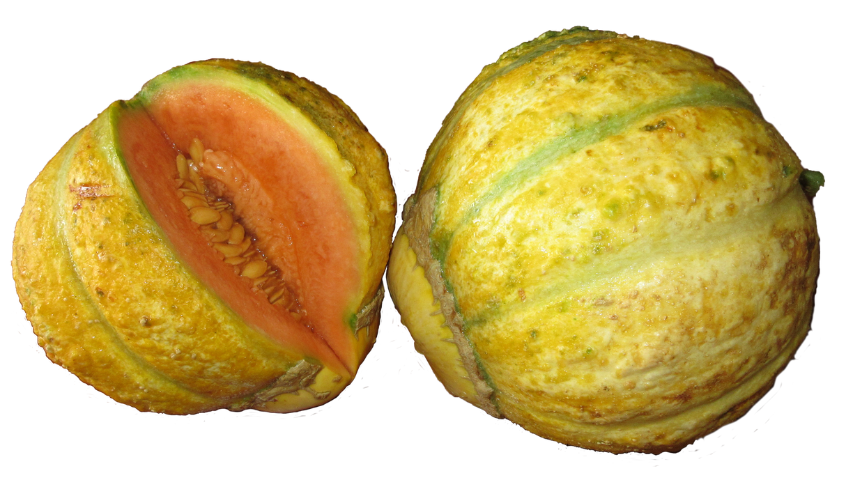 Melon 'Zatta'