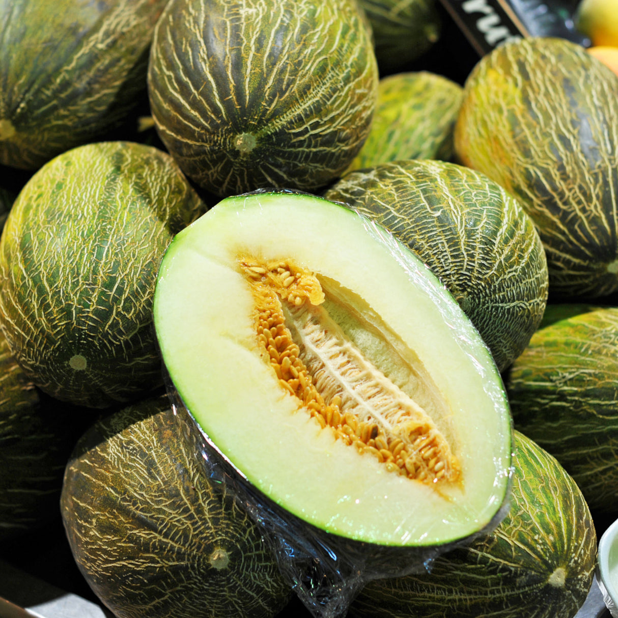 Melon 'Piel De Sapo'