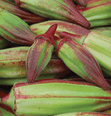 Okra 'Hill Country Red'