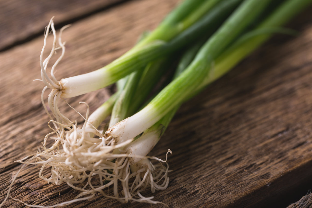 Onion 'Evergreen Bunching'