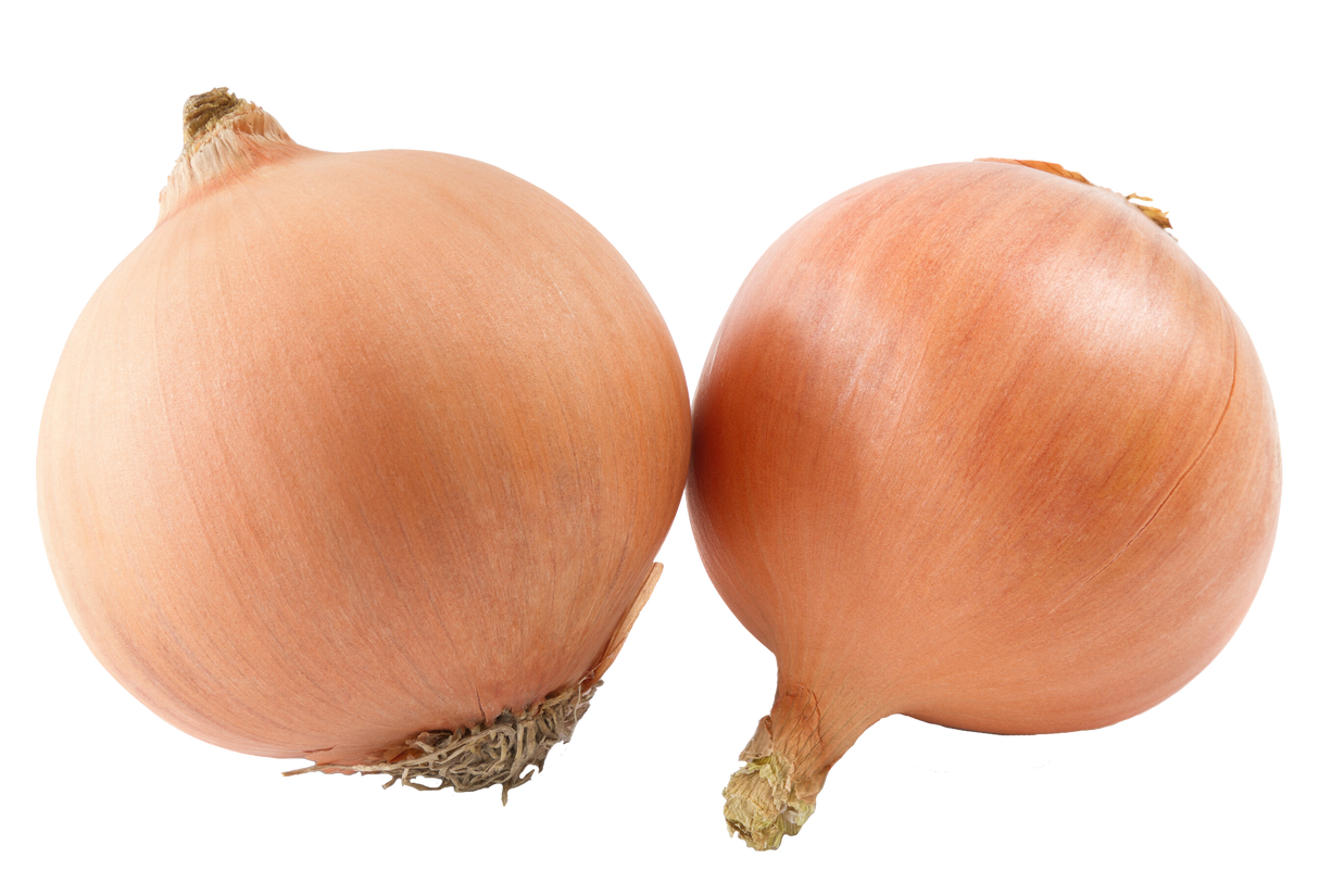 Onion 'Gladalan Brown'