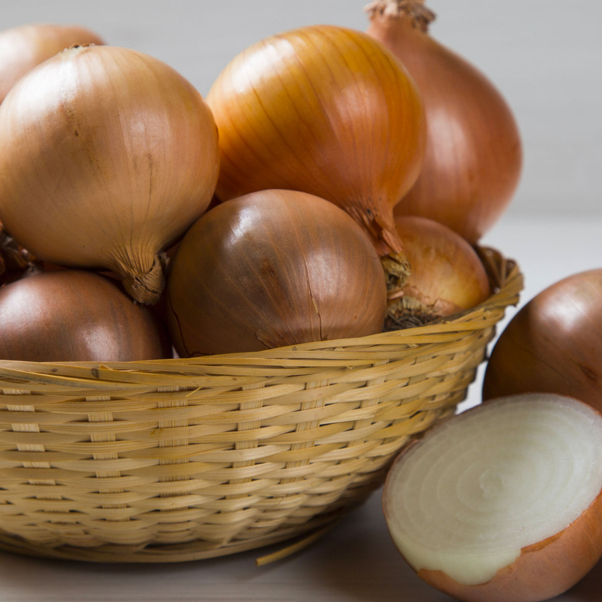 Onion 'Gladalan Brown'