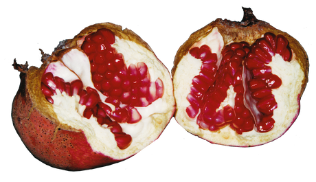 Pomegranate