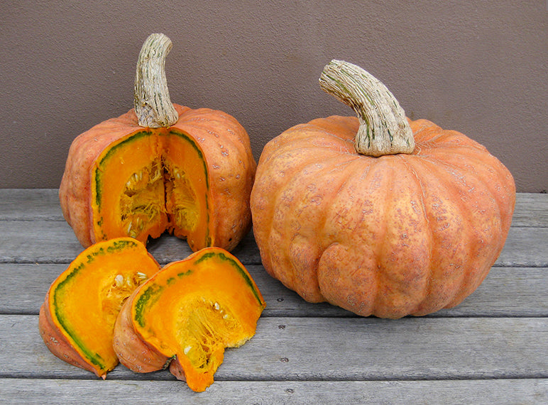 Pumpkin 'Australian Butter'