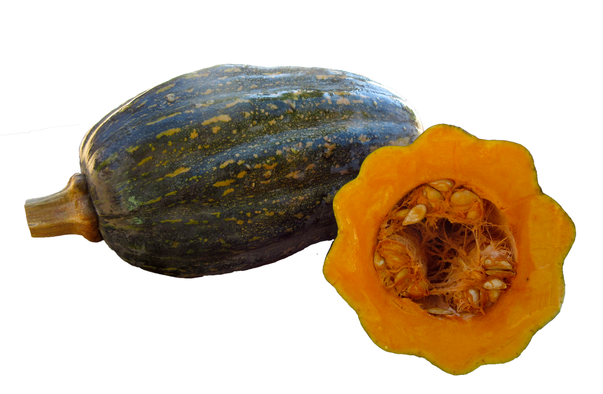 Pumpkin 'Pawpaw'